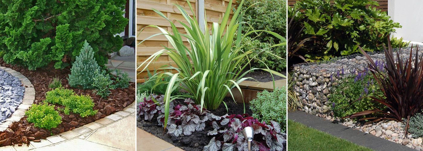 Low maintenance planting