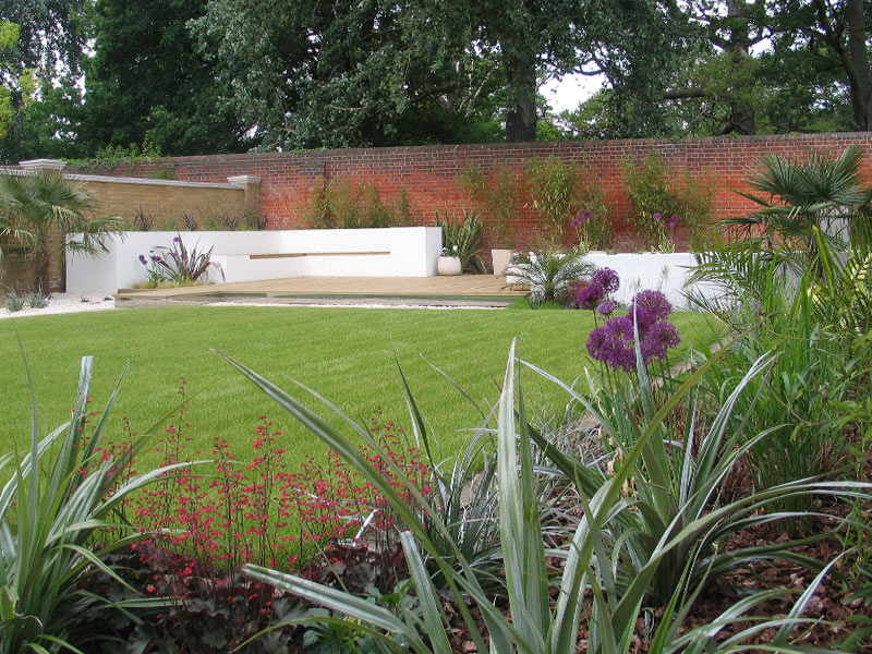 Astelia, heuchera and allium