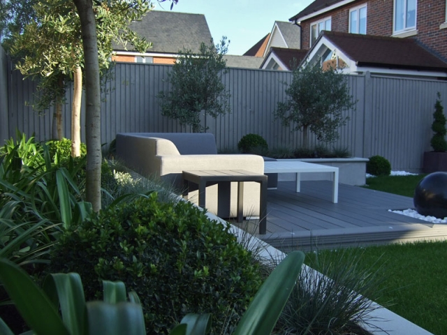 Topiary box and standard olives in a raised planter behind a composite deck