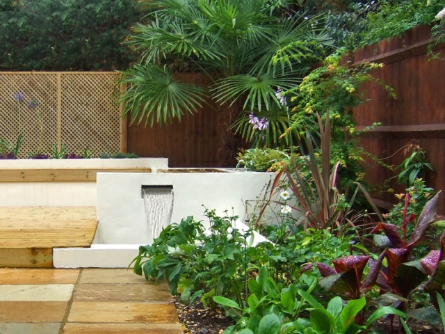 Rendered White Wall with Water Blade and Tropical Planting