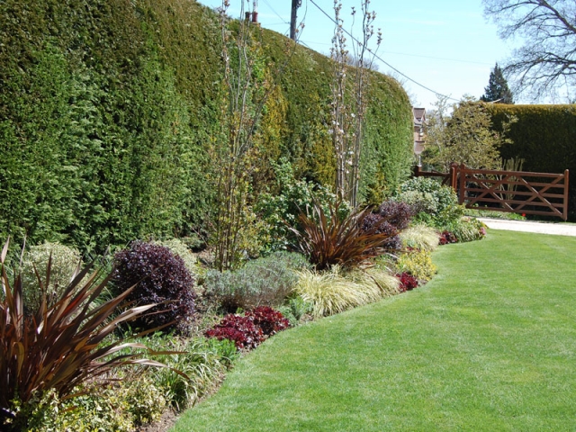 Mixed shrub and perennial border