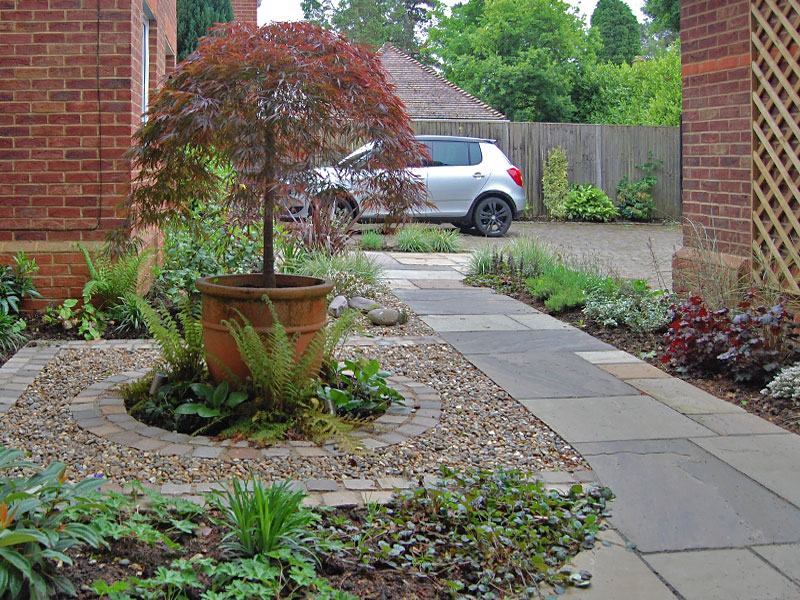 Front garden with feature tree