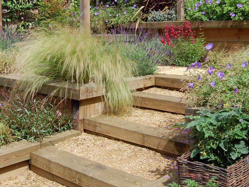 Terracing softened by planting with sleeper and gravel steps