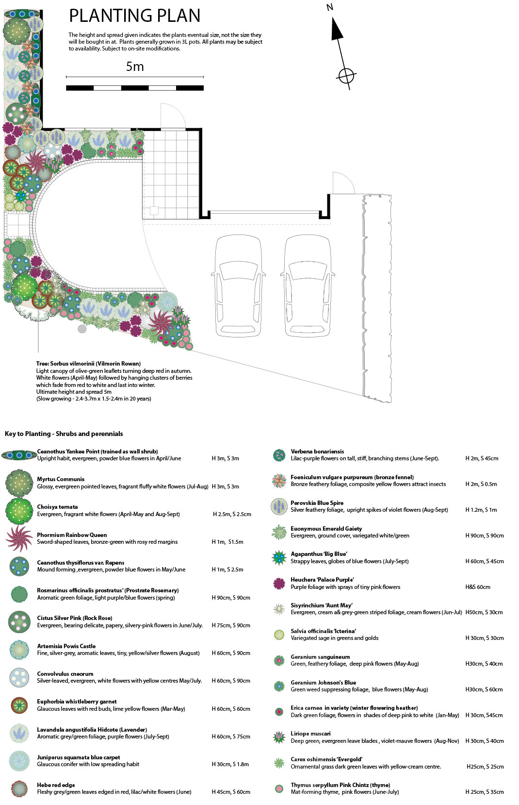 Sample Planting Plan