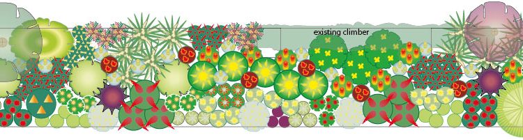 What Is A Planting Plan?