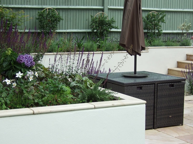 Contemporary garden, rendered walls and bullnose coping