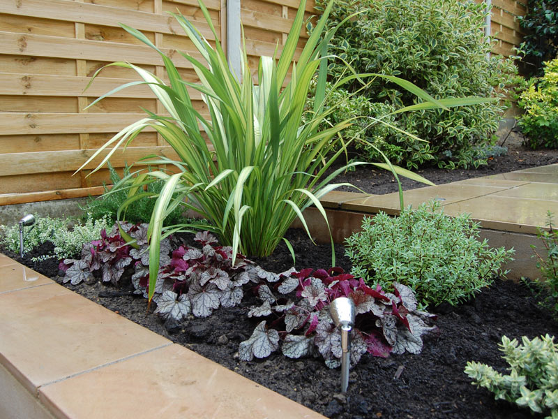 Sawn sandstone raised beds with architectural planting - phormium yellow wave and heuchera