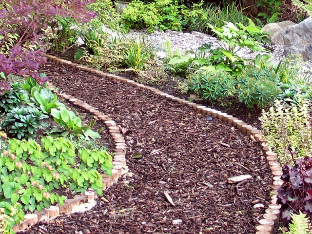 Woodland bark mulch path