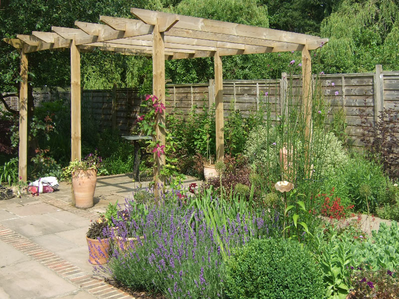 Pergola in summer with lavender and box balls