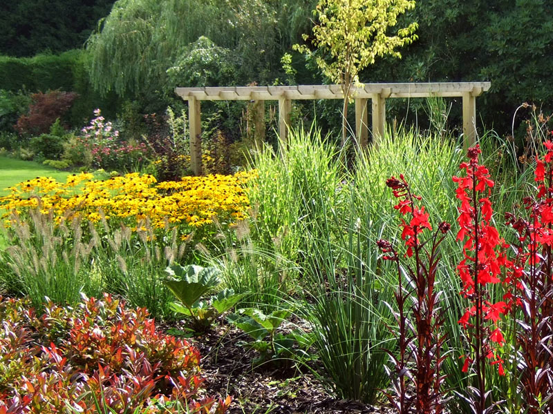 Late summer perennials and grasses with pergola