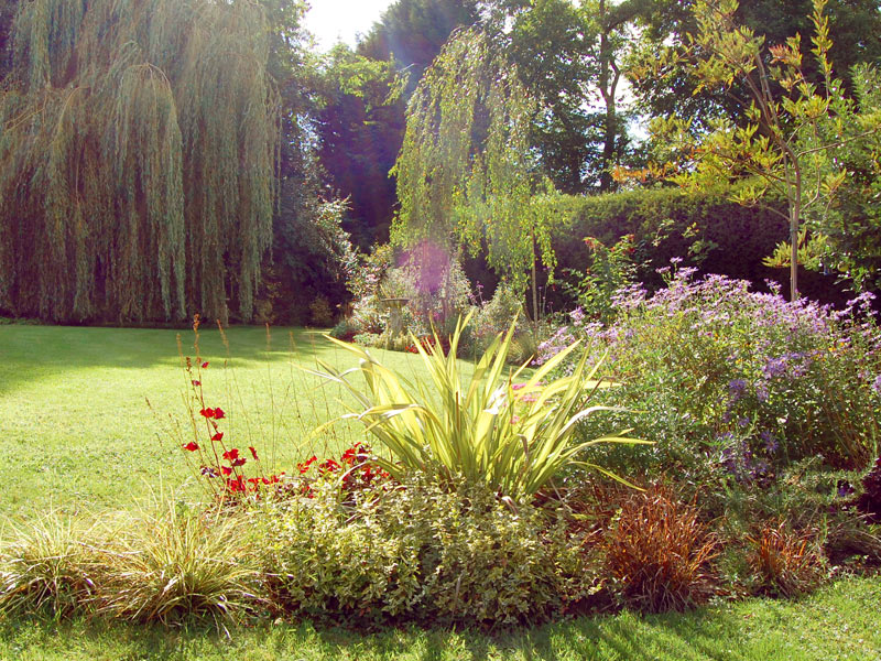 Large mixed borders in late summer with weeping willow