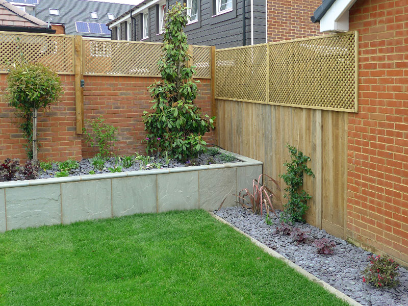 Raised planter with Magnolia Grandiflora